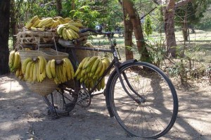 Bananas on a bicycle