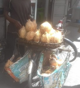 Coconuts (madafu) sold from a bicycle