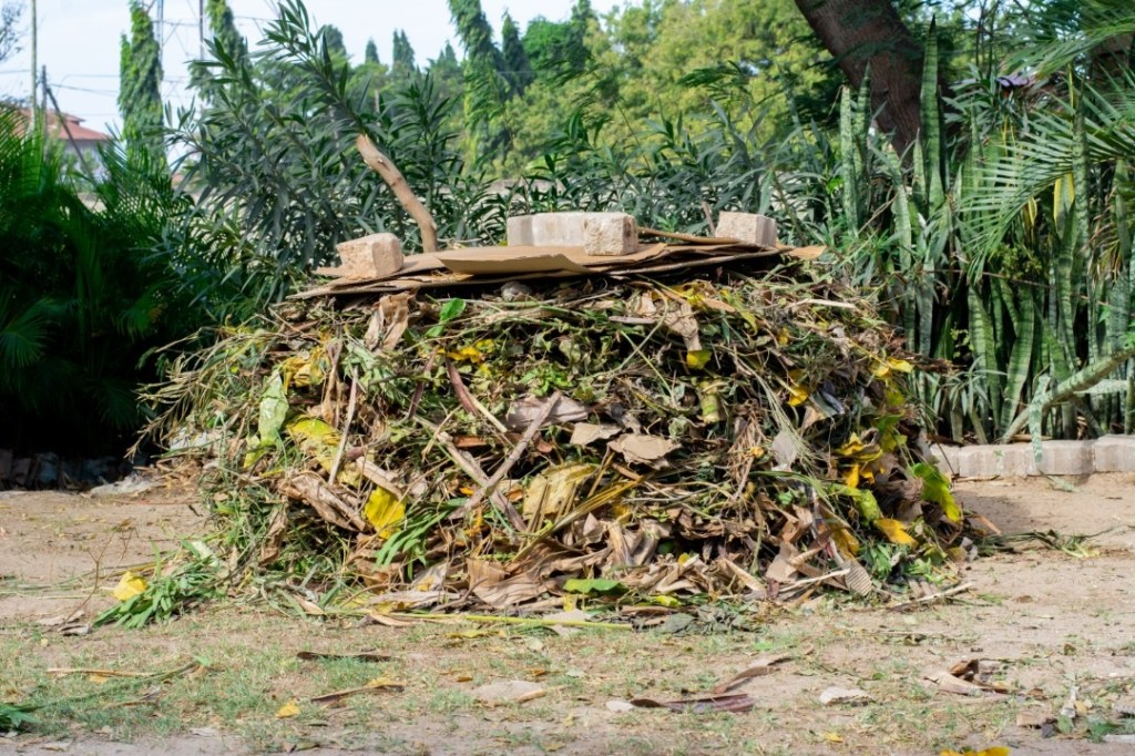 Compost heap